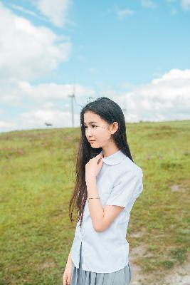 树影迷宫 电视剧